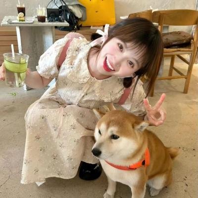 汉堡总动员
